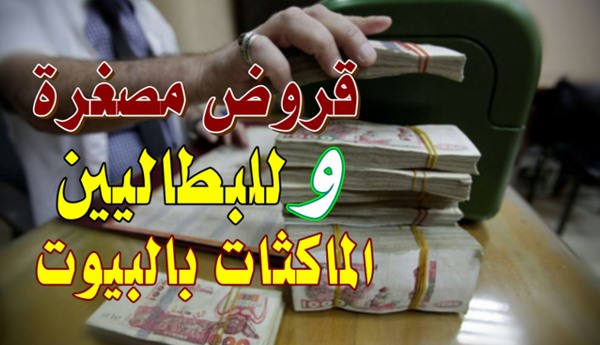 شروط الاستفادة من قروض لونجام للشباب في 2024