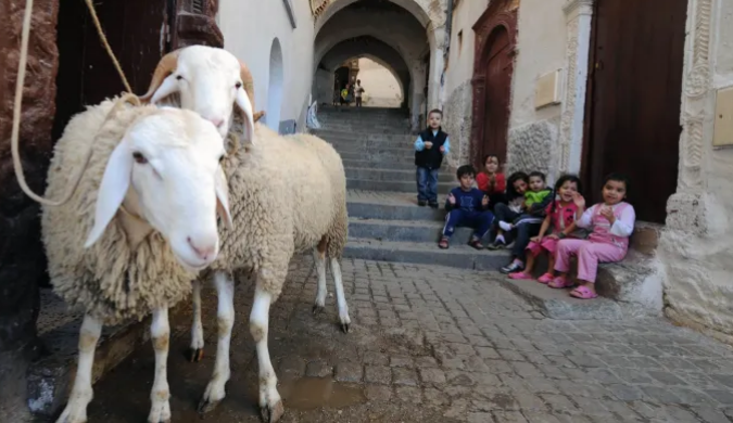 تكون وقفة عرفات لعام 1445 هـ فلكياً. يوم السبت 2024/6/15م، ويكون عيد الأضحى المبارك لعام 1445هـ فلكياً يوم الأحد 2024/6/16م.