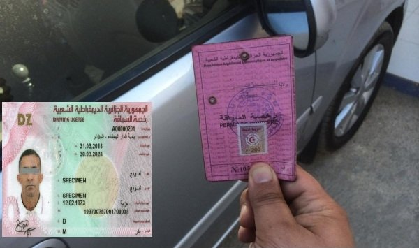 نظام رخصة السياقة بالنقاط في الجزائر: خطوات نحو تحسين السلامة المرورية