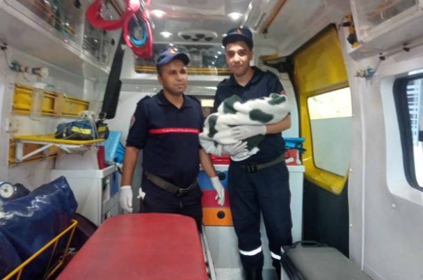 فرقة الإسعاف بالشلف تنقذ حياة أم و مولودتها في ولادة طارئة